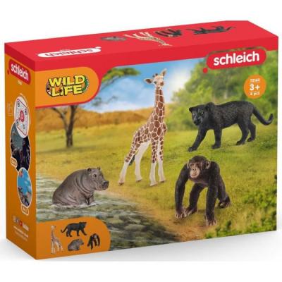 Kit de base wild life - schleich - 72162 - a partir de 3 ans SCH372162