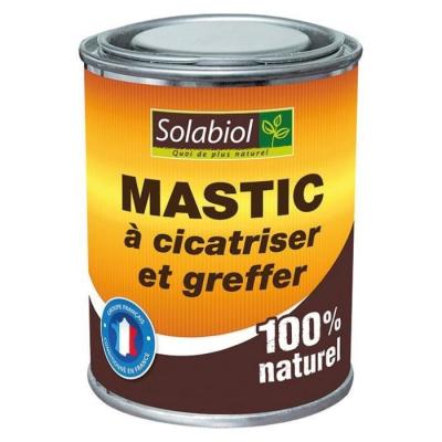 Solabiol SOCICA150 Mastic &Agrave; Cicatriser Et &Agrave; Greffer 150 G