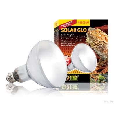 Exoterra Ampoule et Solar Glo pour Reptiles et Amphibiens 160 W