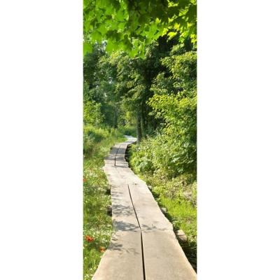 Plage 141030 Sticker Trompe l'&oelig;il Porte - Chemin dans l'herbe, 204 x 83 cm