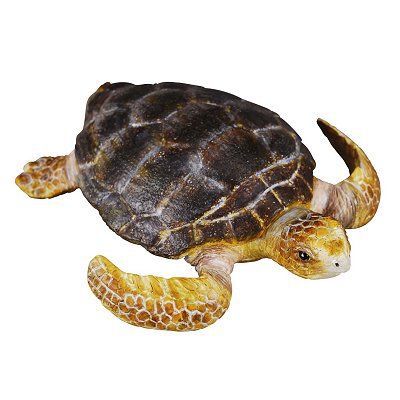Collecta Tortue Marine Animaux 7 X 1 cm