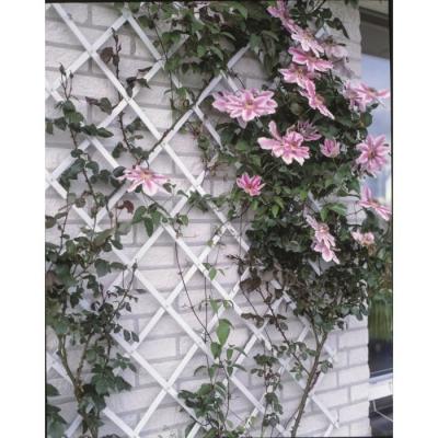 Nature - Palissade de jardin 100 x 200 cm pvc Blanc Blanc