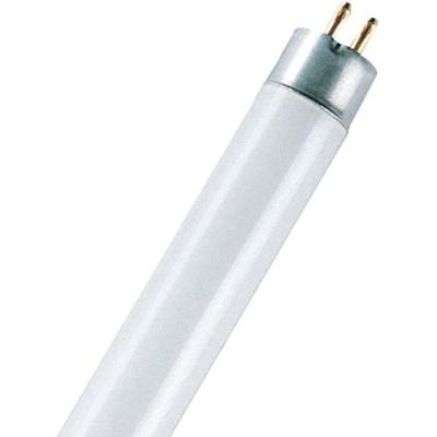 Tube fluorescent OSRAM G5 8 W blanc froid forme de tube 1 pc(s)
