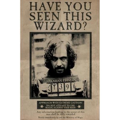 Un maxi poster 61 x 91,5 cm de Harry Potter avec Wanted Sirius Black.