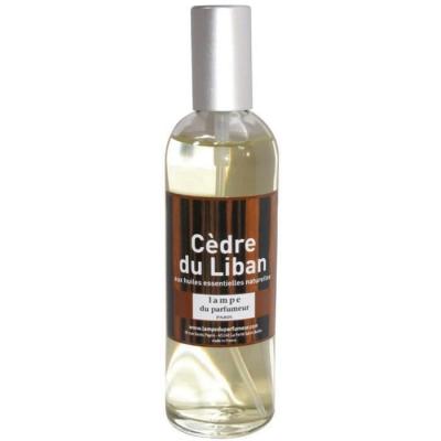 Lampe du Parfumeur 501 Spray d'ambiance, Transparent, Taille Unique