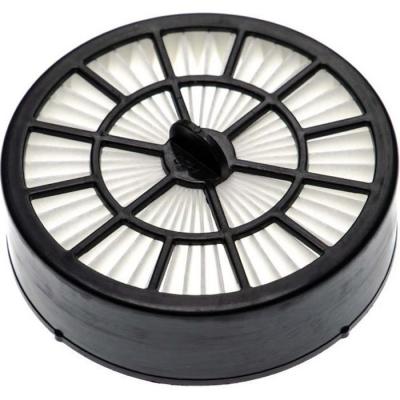 Filtre remplacement pour Ariete AT5166054100 pour aspirateur - Filtre hepa - Vhbw