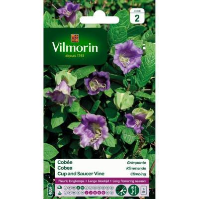 Vilmorin 5233242 Cob&eacute;e grimpante, Violet, 90 x 2 x 160 cm