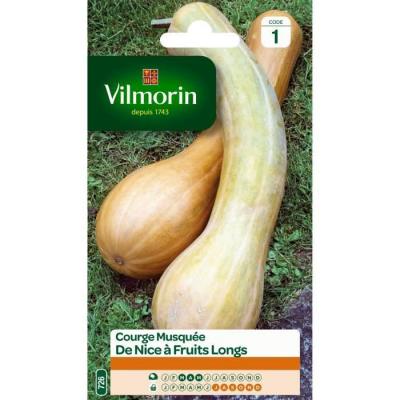VILMORIN Courge de Nice a fruit long