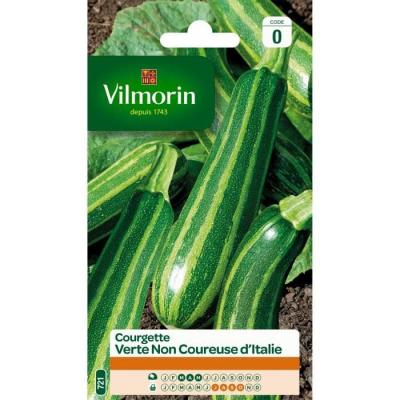 Graines de Courgette Verte non coureuse d' Italie