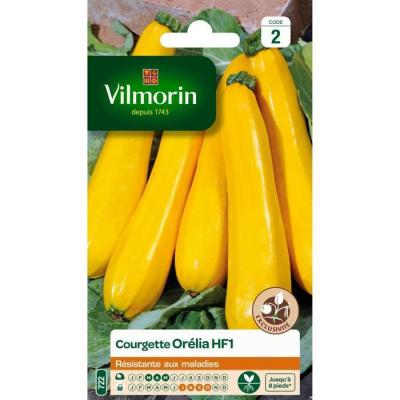 Vilmorin - Sachet graines Courgette Orelia HF1