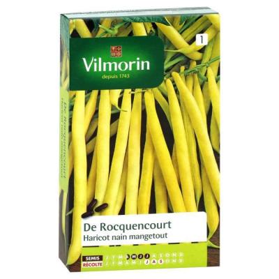 Graines de Haricot Nain Beurre Rocquencourt Vilmorin