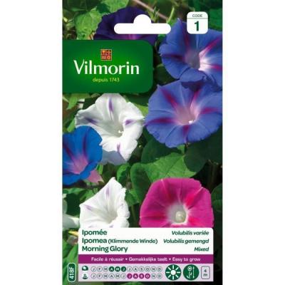 Vilmorin - Sachet graines Ipom&eacute;e Volubilis Vari&eacute;e