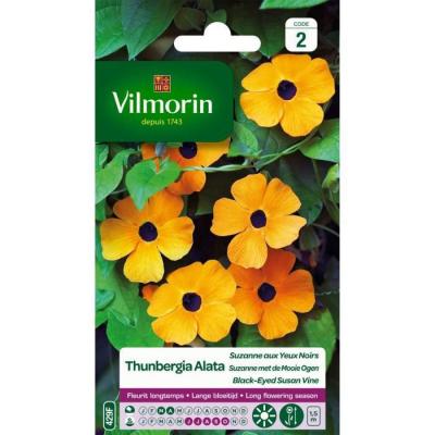 Vilmorin Sachet graines Thunbergia Alata Suzanne aux Yeux Noirs