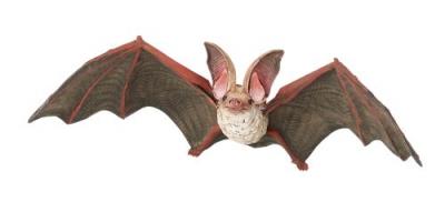 Chauve-souris - dim. 10 cm x 5 cm x 2,5 cm
