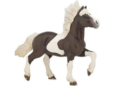 Chevaux, Poulains Et Poneys Percheron Blanc
