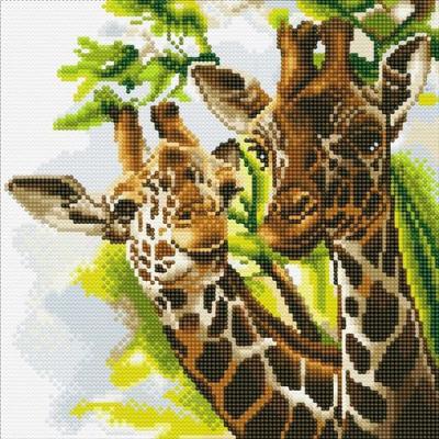 Tableau Crystal Art &agrave; diamanter - Girafes - 30 x 30 cm - Crystal Art