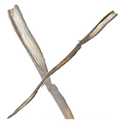 Noble Collection Harry Potter r&eacute;plique baguette de Grindelwald (&eacute;diti