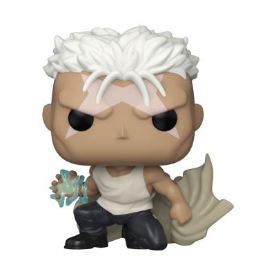 Figurine Funko Pop - Fma:b - Scar 