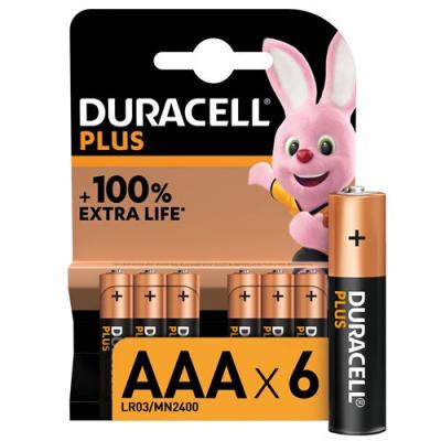 Pile Alcaline Aaa/lr3 1,5v Mn2400 Plus Duracell - Le Lot De 6 Piles