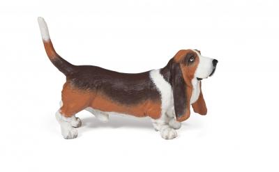 Chiens Et Chats Basset Hound