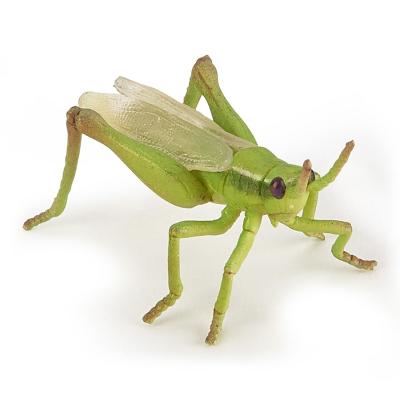 Papo- Ant Figurine, 50267, Multicolore