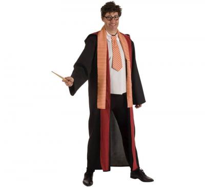 D&eacute;guisement de Magicien Sorcier pour adulte