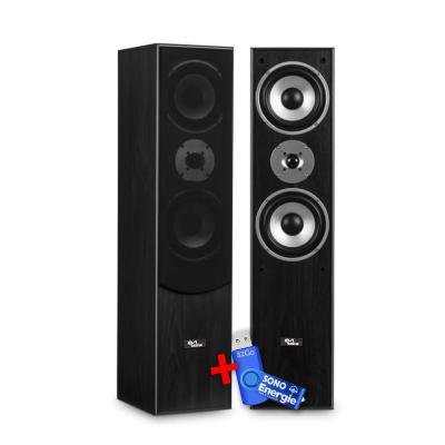 Paire d'enceintes Hifi/Home-Cin&eacute;ma - EA700-BK - 2x500W PMPO - Bass Reflex &agrave; 3 voies + Cl&eacute; USB 32G