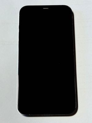 Apple iPhone 12 Pro Max 17 cm (6.7"") Double SIM iOS 14 5G 128 Go Bleu