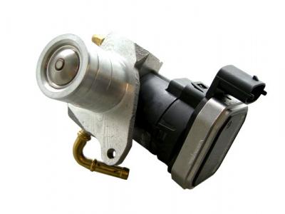Vanne EGR PIERBURG 7.24809.72.0 (X1)