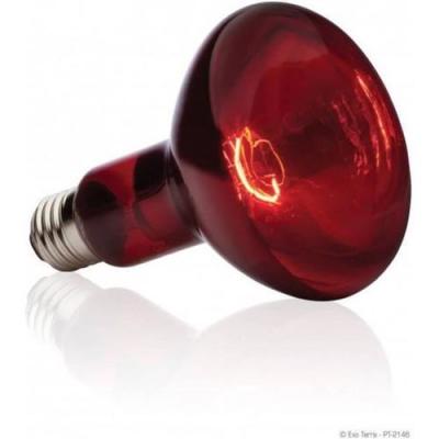 Exoterra &Eacute;clairage pour Reptiles Lampe Infrared Basking Spot 75 W