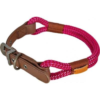 Zolux - Collier imao 40 cm x 6 mm Hyde park fuchsia pour chien. Rose