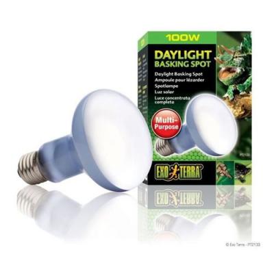 Ampoule Basking Spot Daylight lumi&egrave;re du jour Exo Terra 100 w