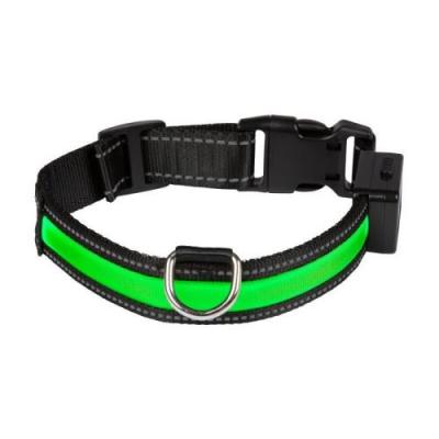 EYENIMAL Collier Lumineux Rechargeable USB pour Chien Vert 40 - 45 cm Taille S