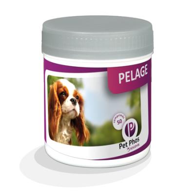 Pet-phos sp&eacute;cial pelage compl&eacute;ments alimentaires pour chiens