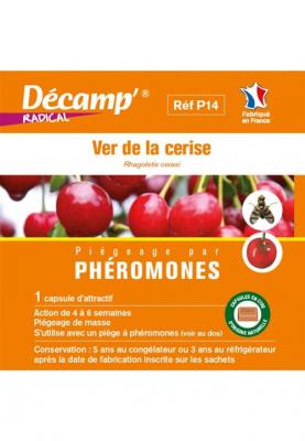 Ver de la cerise-rhagoletis cerasi 2 capsules