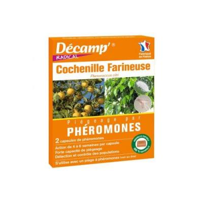 Ph&eacute;romone contre la cochenille (Boite de 2 capsules)