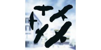 Swissinno 1 705 001 Autocollant image d'oiseau pour fenetre 5 pi&egrave;ces