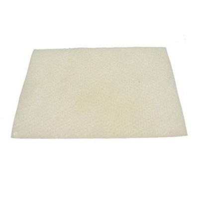 Filtre AF1 antibact&eacute;ries universel &agrave; d&eacute;couper Aspirateur 09844630 HOOVER, PROLINE - 44688 