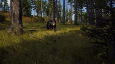 Way of the Hunter Hunting Season One Xbox Series X