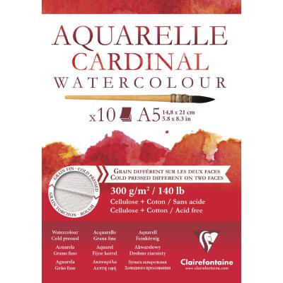 Bloc Papier Aquarelle Cardinal 300 g - 14,8 x 21 cm - 10 feuilles