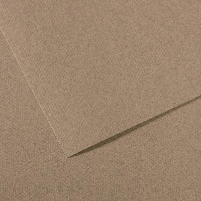 Feuille Canson MI-TEINTES 50X65 160g gris chin&eacute; 431