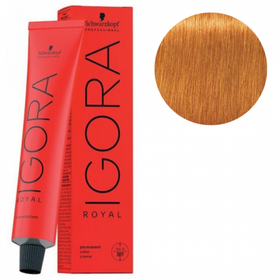 Igora Royal 9-7 Blond Tr&egrave;s Clair Cuivr&eacute; 60 ML