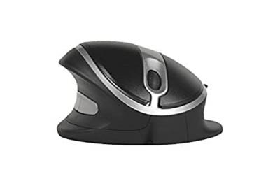 Souris Ergo Large Oyster Mouse sans fil