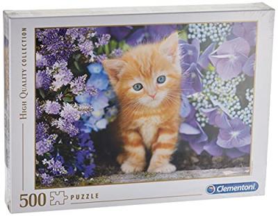 Chaton dans les Fleurs