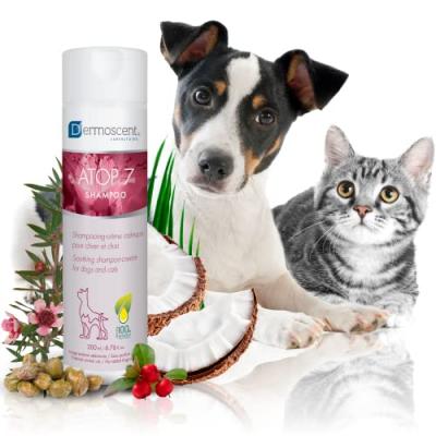 Dermoscent Atop 7 Shampooing Chien Chat