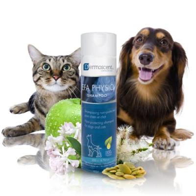 Dermoscent Essential 6 Sebo Shampoing