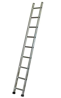 Escalux echelle simple 2.60 m Escv16001