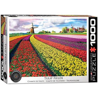 Puzzle 1000 pi&egrave;ces : champ de tulipes