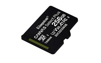 Kingston Canvas Select Plus carte microSD 256 Go 