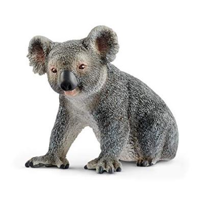 Figurine Koala Multicolore Schleich